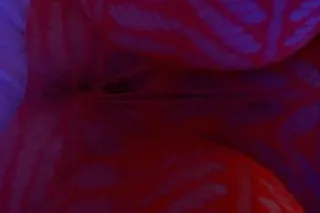 charity luv - Image 6