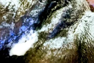 💦👅👁 SEXY BLAC GODDESS 💦💋 - Image 12