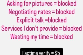 ᴘᴇᴛɪᴛᴇ ʙᴜꜱᴛʏ ʙᴀʀʙɪᴇ🎀 Upscale Companion - Image 10