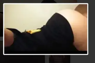 Southern Sweetheart Daisy - 40 - Image 1