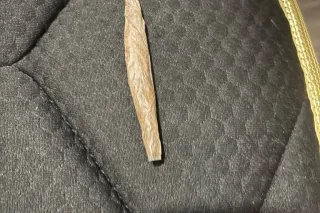 Incalls 100 all 3 holes all ni... - Image 1