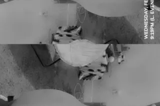 Text only on my new number 👉✅ ... - Image 3