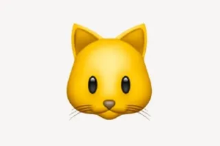 classy with ass wait till you ... - Image 1