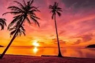 Polished & Genuine Social Comp... - Image 1