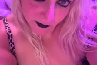 VOLUPTUOUS VIXEN ITALIAN LIBRARIAN GOTHIC GANGBANG 300HH 500HR - Image 5