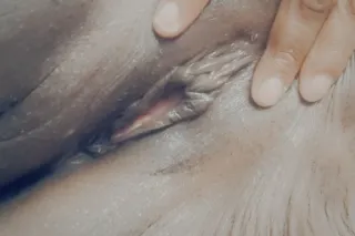 Come play in my throat💕U like ... - Image 2