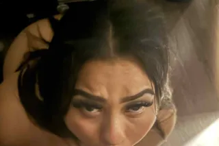 paradise - 23 - Image 1