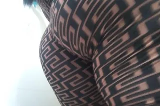 EXOTIC BABY NEW IN THE CITY 🐾 ... - Image 3