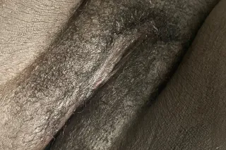 ☺💕Cum C Me👀🫦 - 24 - Image 4