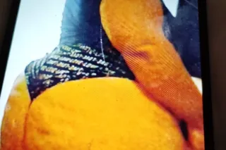 major ass hips and tits 🔥💣💣 50 qv with rubber and 90 without - Image 7