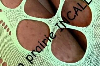 SUN PRAIRIE INCALLS. - 28 - Image 2