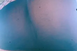 OUTCALLS NEW IN TOWN 💕🥹 ( 20$ ... - Image 4