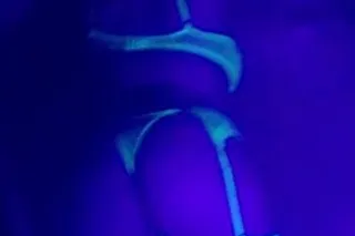 come play with me😉 - 32 - Image 1