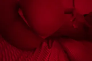 cardates and ft shows only - 1... - Image 1