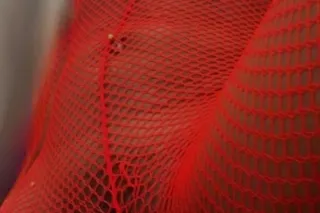 🥰Outcalls🥰 - Image 2