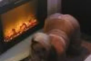 AVAILABLE 24/7, DOIN INCALLS ONLY DOWNTOWN💯🇲🇽🔥💋🍑💥 - Image 6