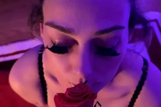 OUTCALLS- HHR-250 HR-400 - 30 - Image 3