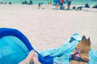 🚧⚠🅒🅐🅤🅣🅘🅞🅝➙ѕoмeтнιng тнιѕ♡sweet... - Image 4