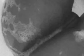 🧁80 spexial❀Ɓ♡♡K❀ ♥ Eχтяємℓy ᗩ... - Image 2