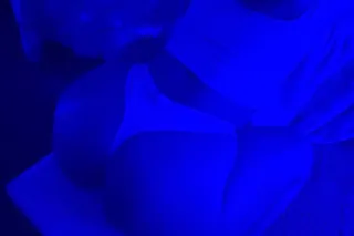 pussy🔥head🔥body☕ - 25 - Image 1