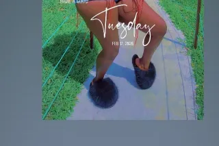 READY TO HAVE FUN - 27 - Image 1