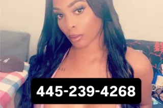 just arrived best ebony in casper - Image 6