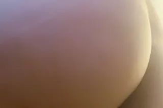 *(LIVE VIDEO VISIT SPECIAL)* L... - Image 3