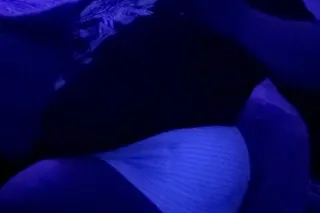 FRIDAY NIGHT VIBESSSS!!! BBW!!... - Image 4