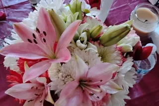 𝓕𝓵𝓪𝔀𝓵𝓮𝓼𝓼 𝓑𝓸𝓶𝓫𝓼𝓱𝓮𝓵𝓵 ✨ 🌸ⓔⓧⓞⓣⓘⓒ🌸ᗴ... - Image 1