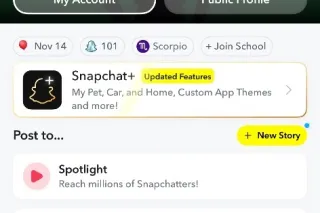 TAMPA - 29 - Image 2