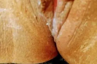 Availble Now Seduction🥰🥰🥰💕 inc... - Image 1