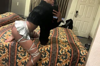 "MIRACLE $TACK$" THE EXOTIC CA... - Image 3