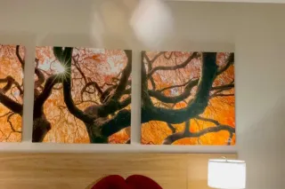 💋Young Hot Blasian Bombshell💋🥰... - Image 3