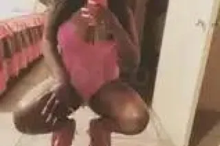 party and play with the stalli... - Image 2