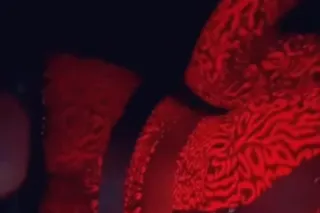 Dreamin Of Her - Image 5