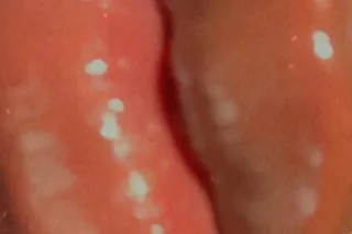 ready now💦😏❤ no blacks white o... - Image 3