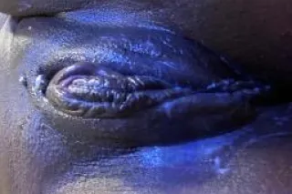 OUTCALLS ONLY///OUTCALLS ONLY/... - Image 3