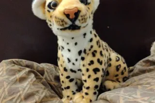 💦🥰💋 PUSSY WETT 🌊 ASSS FAT 💧👀 MOUTH CRAZY 🤪 AVAILABLE ✅ 💨 ( TAMPA INCALLS ONLY ) - Image 11