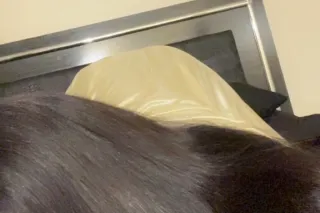 Lets have a good time - Image 5