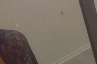 INCALL OUTCALL OR CARDATE COME HAVE A GOOD TIME WITH A PRETTY BBW - Image 10