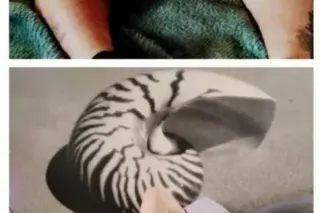 Live 📸 Video sessions also❤ ST... - Image 1