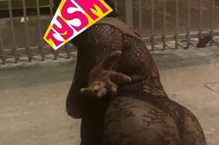 🦋 EXOTICC DA BBW 🦋 - Image 1