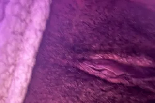 Miss judy Dominican/ebony mixed treat - Image 3