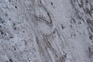 Make Me Scream and Cream 💦The Best Of Best - Image 6