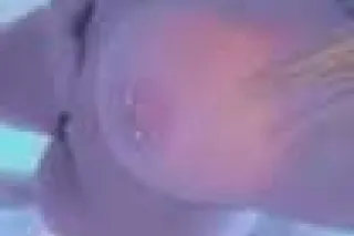 sweet and sexy😘 - Image 6