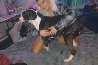 70ss birng protection - 39 - Image 1