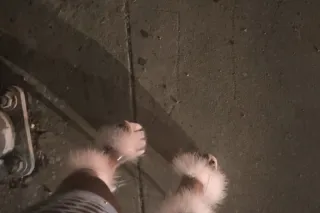 💕 🤫 LEAVING SOON- Playful,Sass... - Image 3