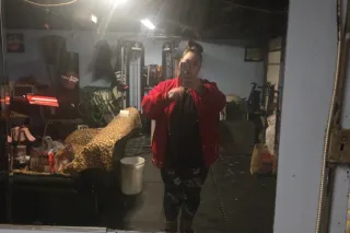 car dates only right now - Image 10