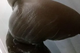 bj only - 30 - Image 1