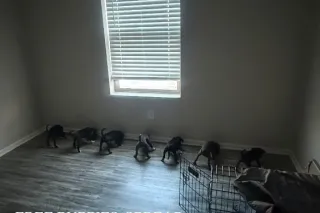 Heyy 🌺 $40-10minutes - Image 5